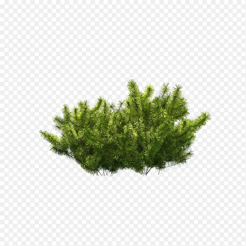 ����ǰ����-������