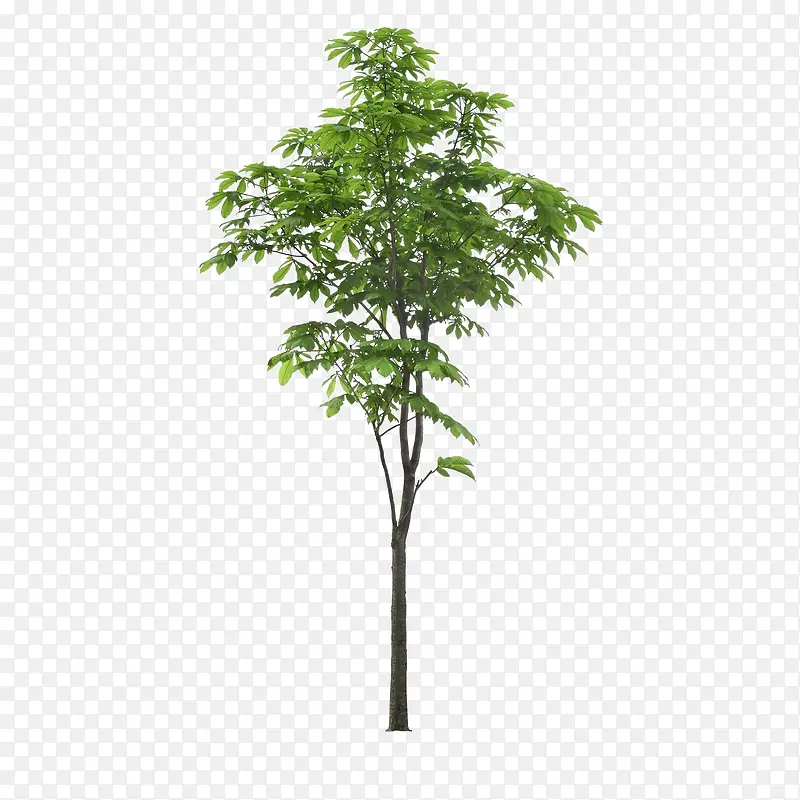 ����ǰ����-������