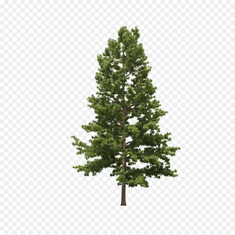 ����ǰ����-������