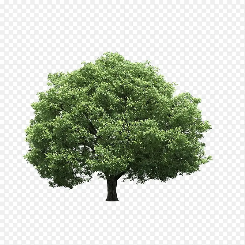 ����ǰ����-������