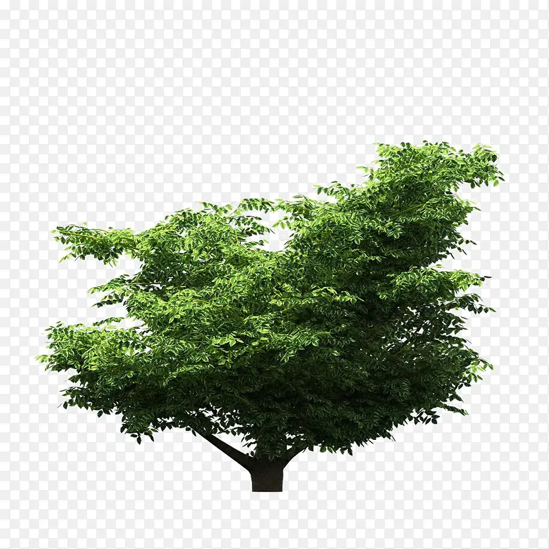 ����ǰ����-������