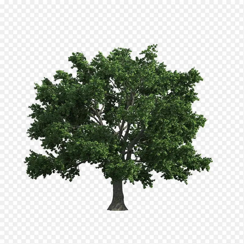 ����ǰ����-������