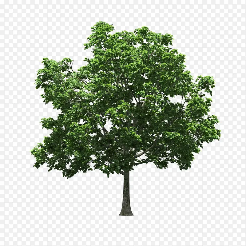 ����ǰ����-������