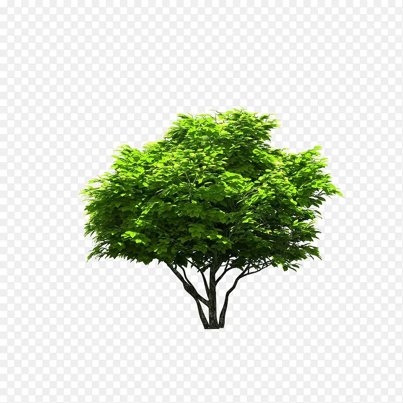 ����ǰ����-������