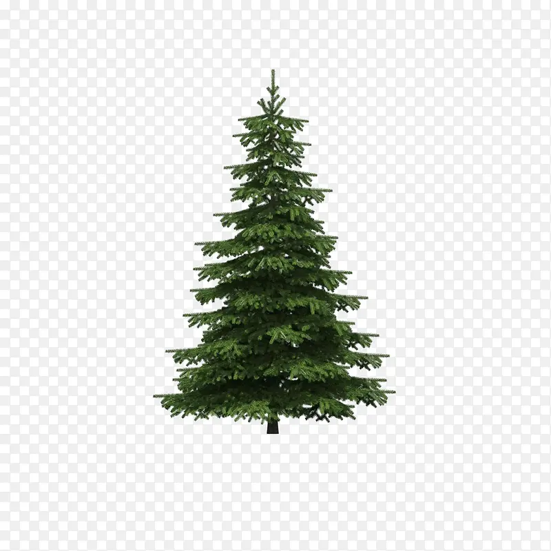 ����ǰ����-������