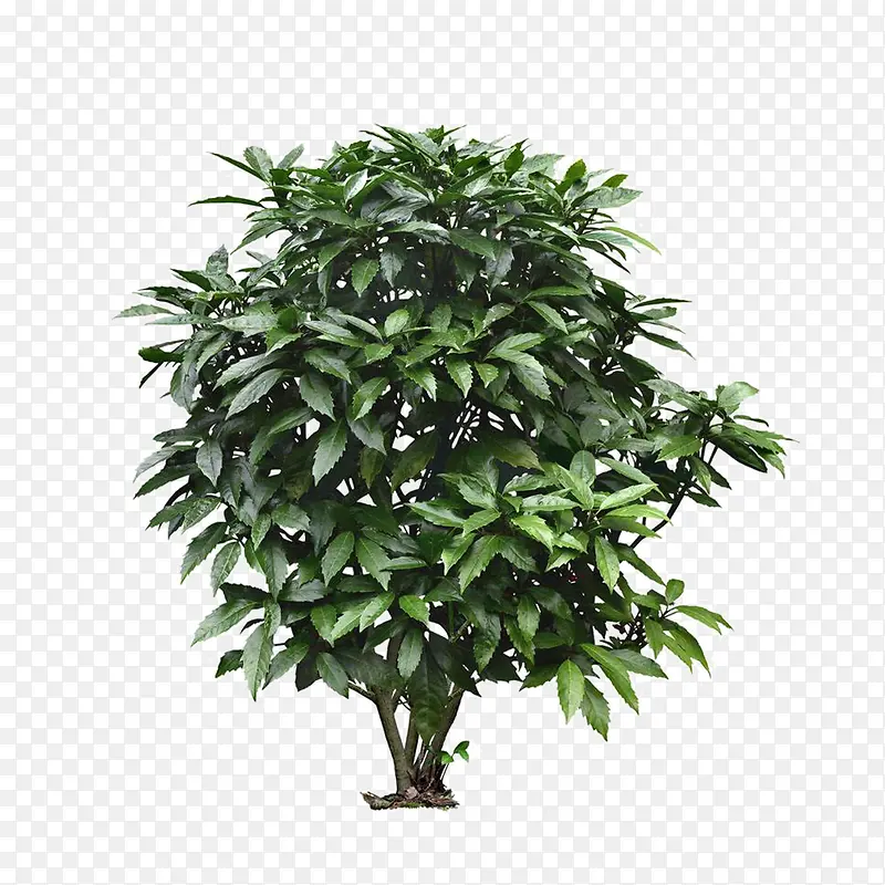 ����ǰ����-������