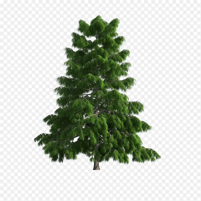 ����ǰ����-������