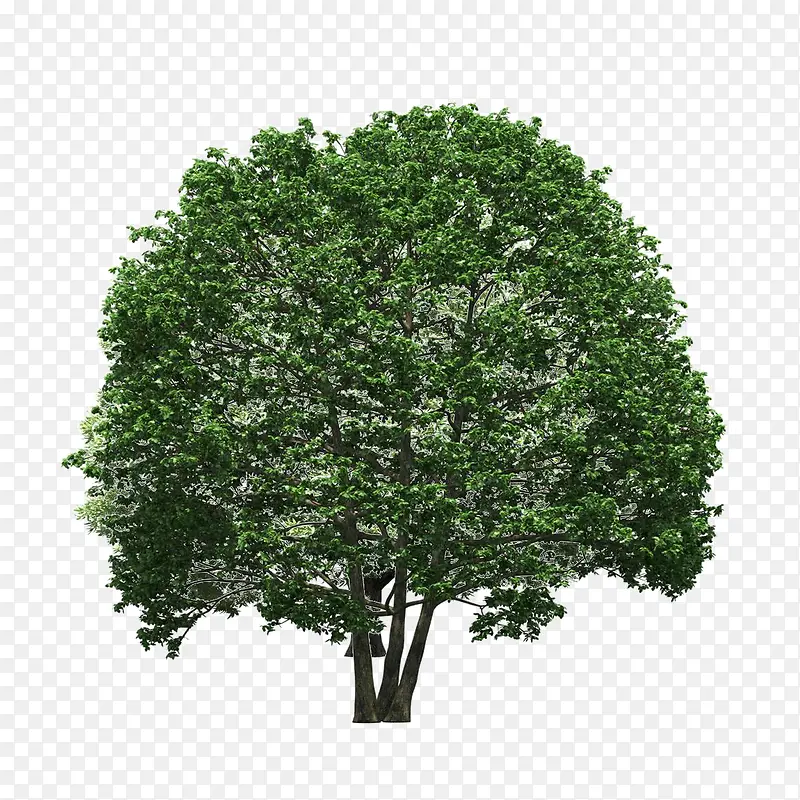 ����ǰ����-������