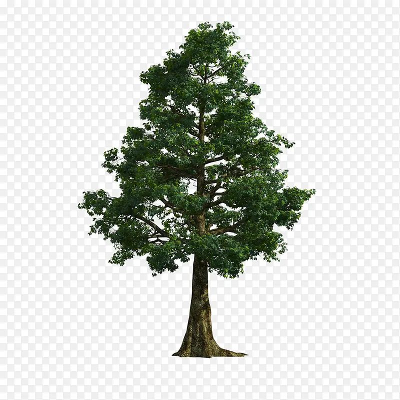 ����ǰ����-������