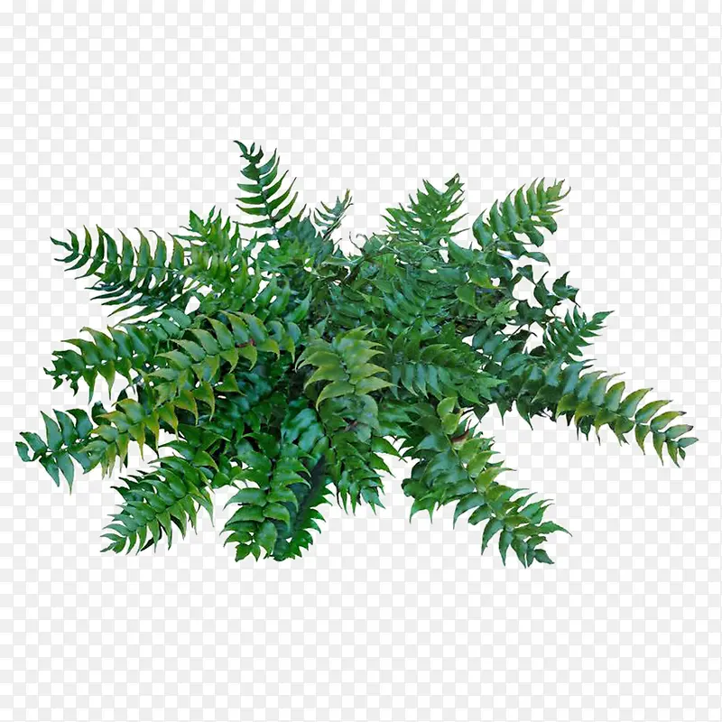 ����ǰ����-������