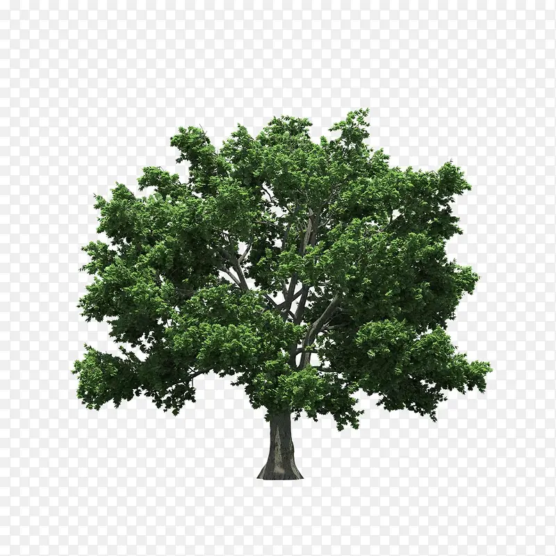 ����ǰ����-������