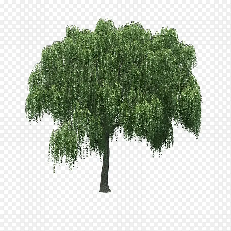 ����ǰ����-������