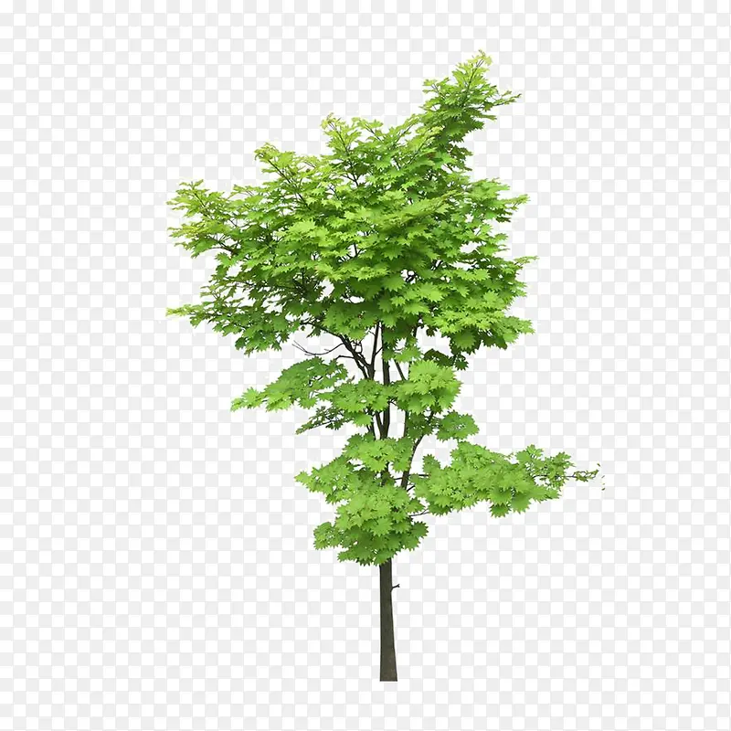 ����ǰ����-������