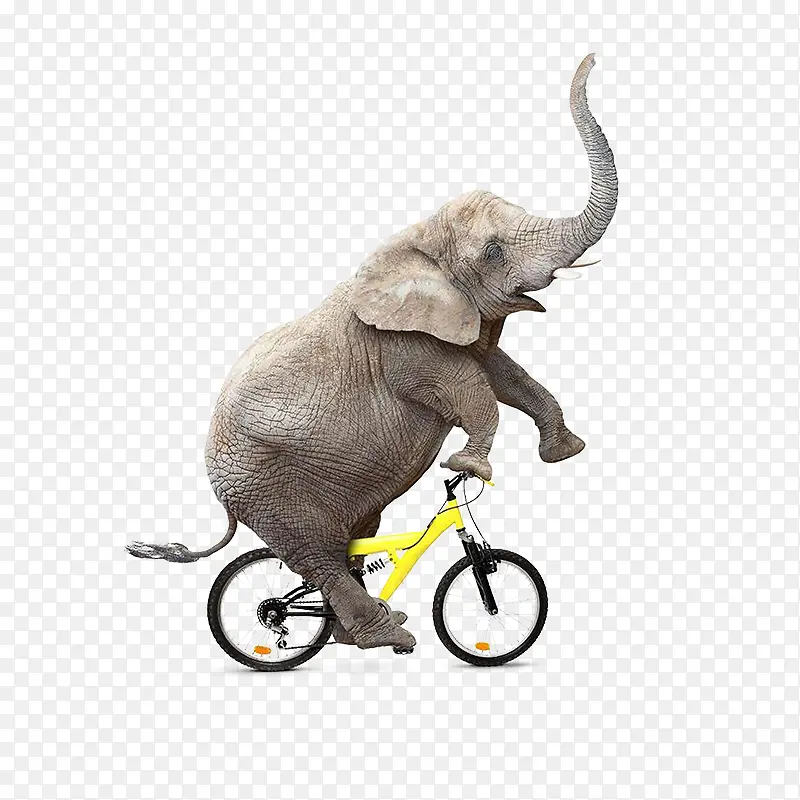 ̩��Ԫ��-������