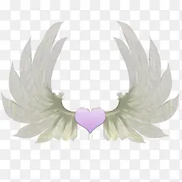 ���Ĳ��ϳ��-������