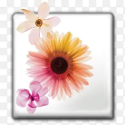 adobe�˹���������CS .��-������