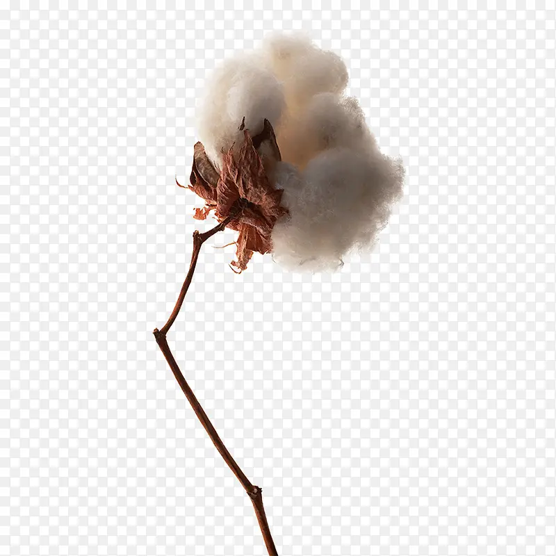 ��֦�ϵ��޻�-������