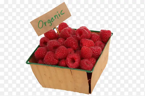 ��ݮ-������