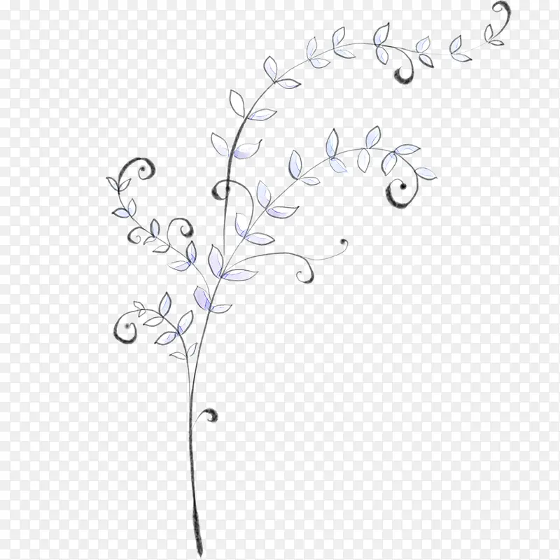 ���Ųʻ����-������