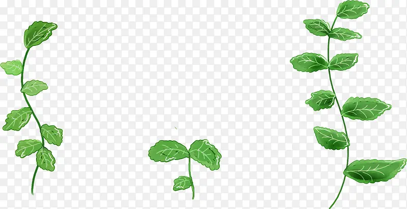 ��ɫ����ʻ���֦����-������