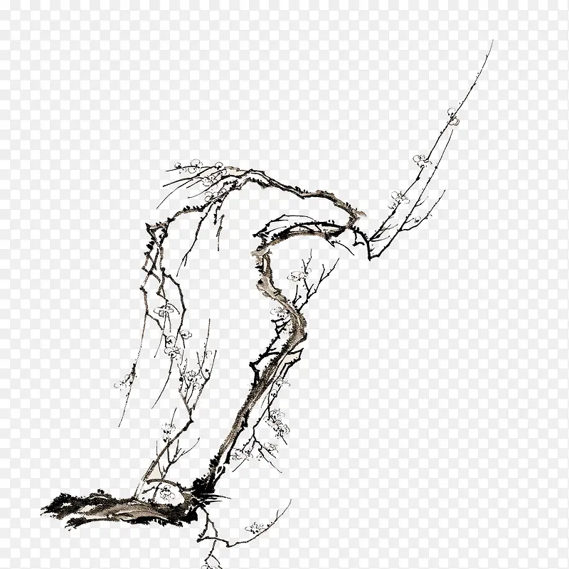 ��Լ��ˮī����֦-������