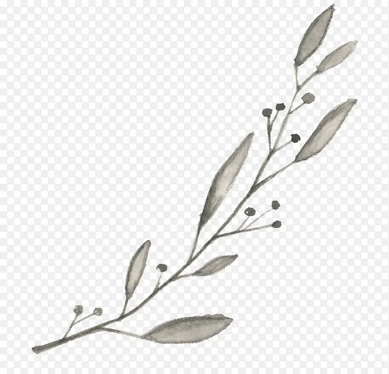 ˮī����֦-������