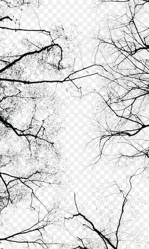 ��֦-������