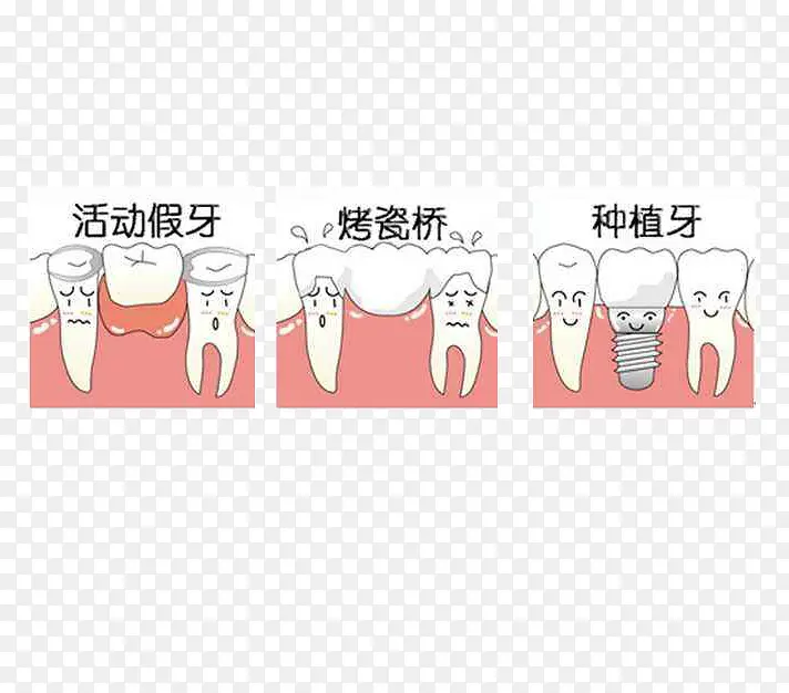 ���ݶ���-������