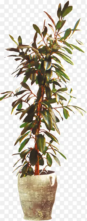 ����������-������