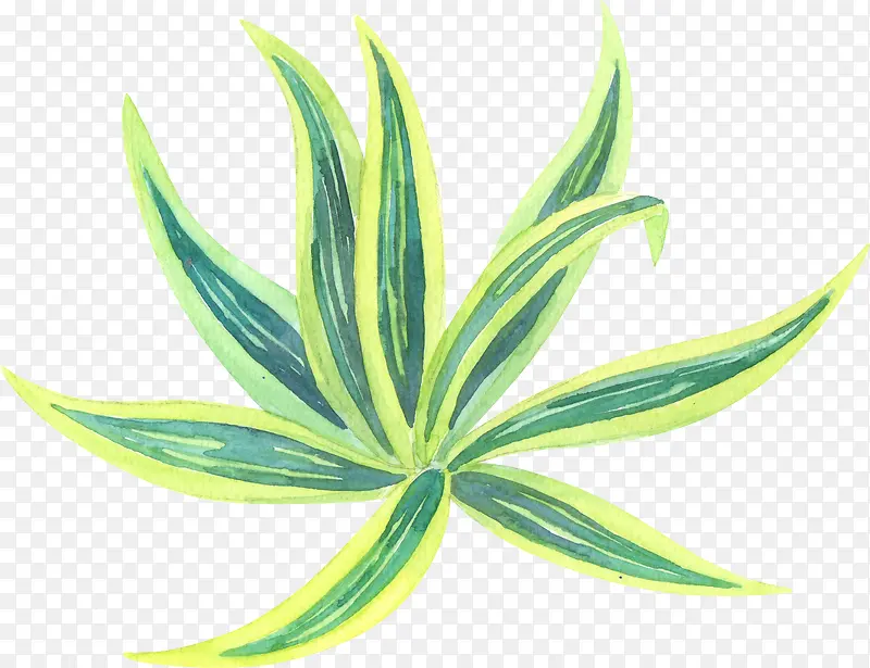 �ֻ���ɫС��-������