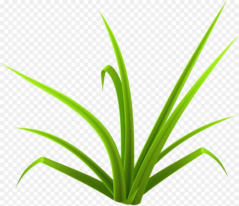 С�̲�-������