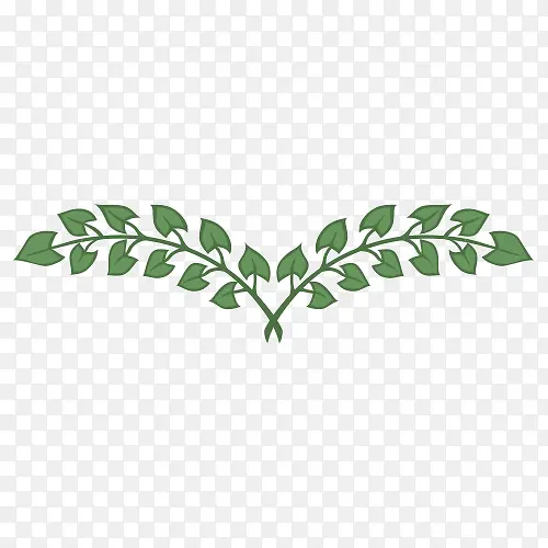 ��Ҷ�����-������