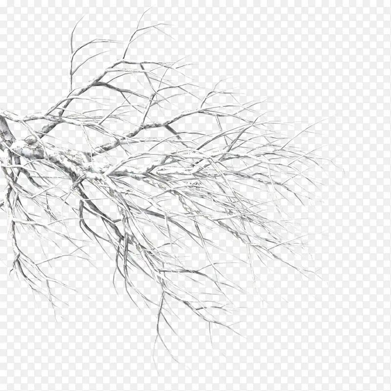 ��ɫ��Լ��֦װ��ͼ��-������