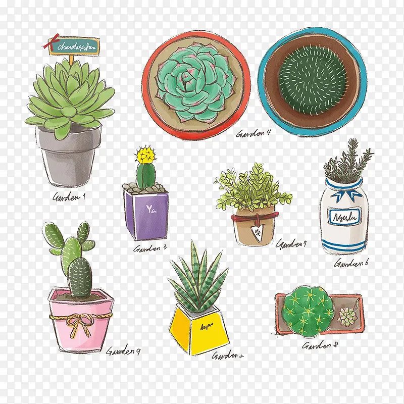 ����ֲ��ˮ�ʻ�-������