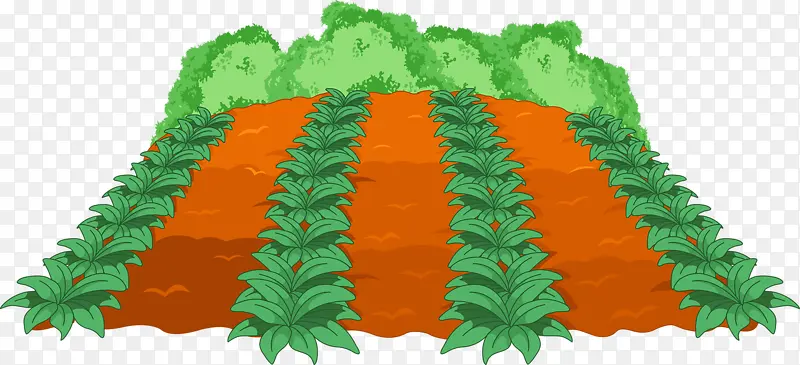 ׯ��ʳ���߲�-������