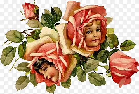 õ�廨-������