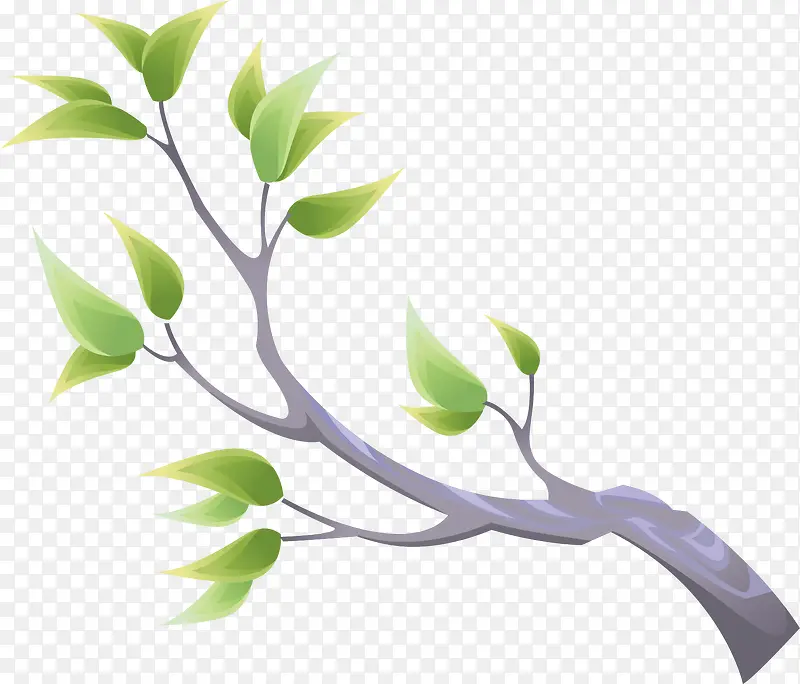 ��ͨ��֦ʸ��ͼ����-������