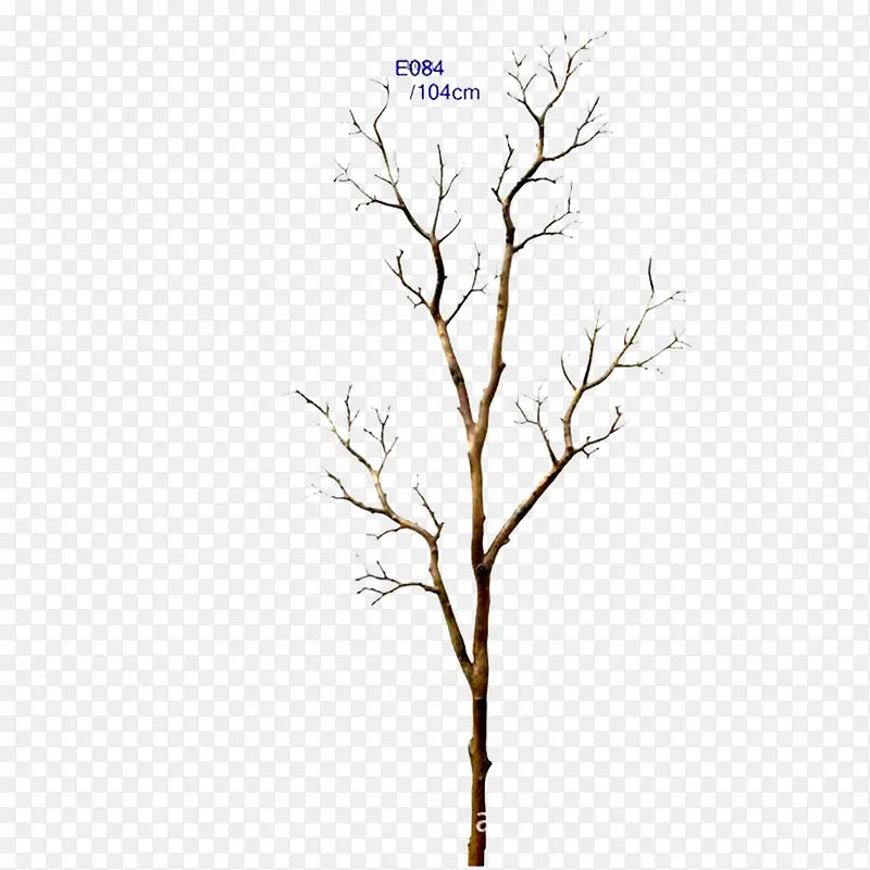 ��Լ�󷽾�����֦-������