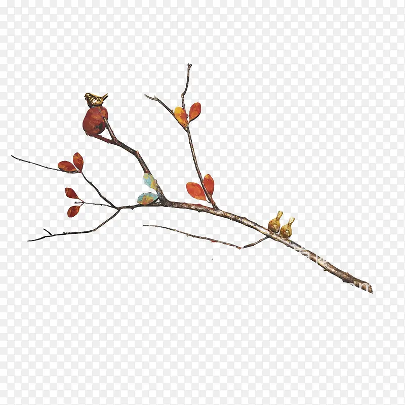 ��ɫ��Լ����֦-������