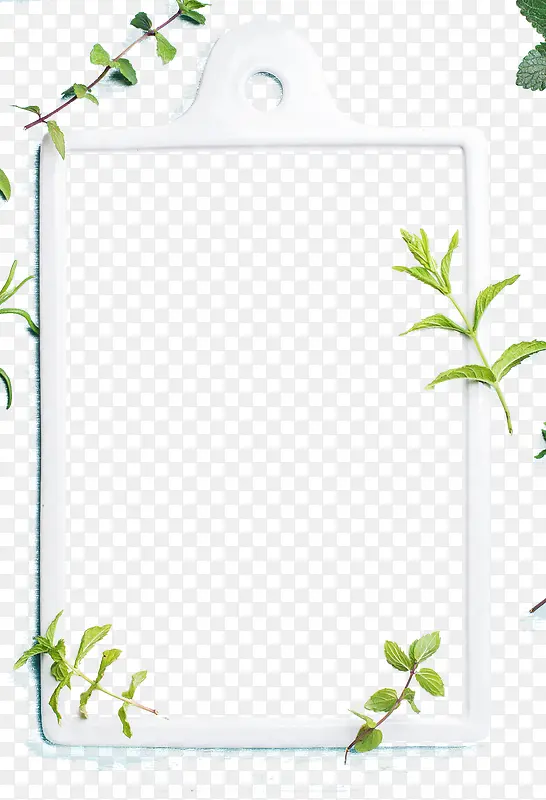 ��ɫ������֦�߿�-������