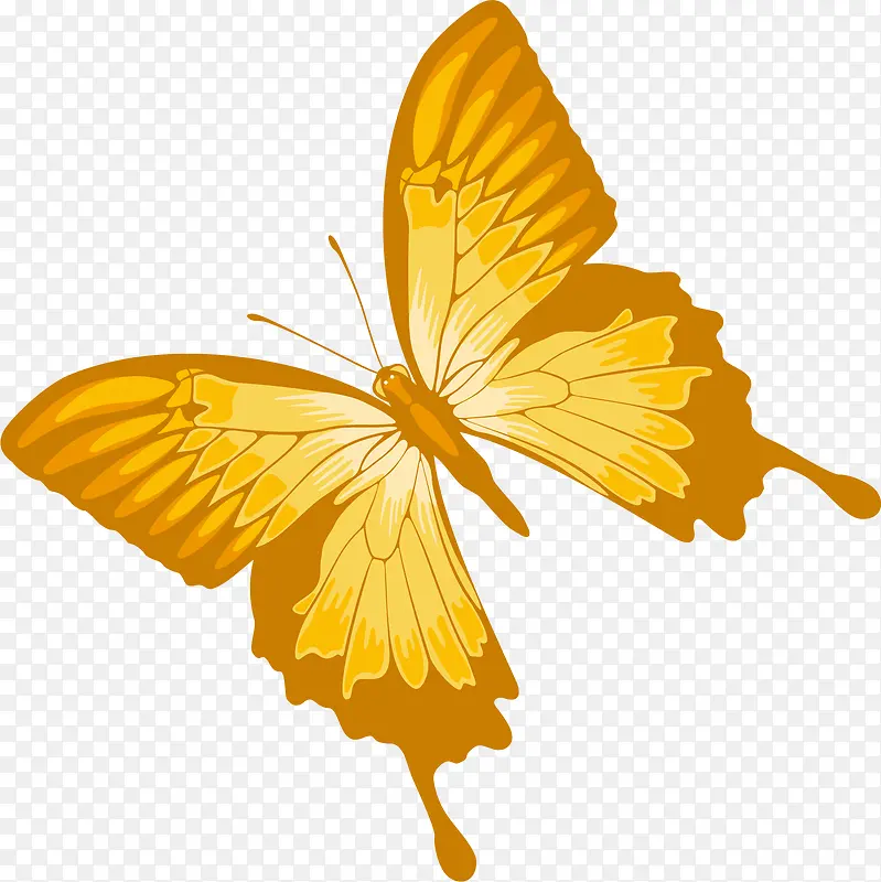 �ֻ��ɫ�������-������