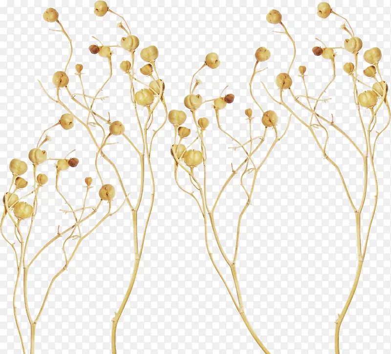 ��ɫ����-������