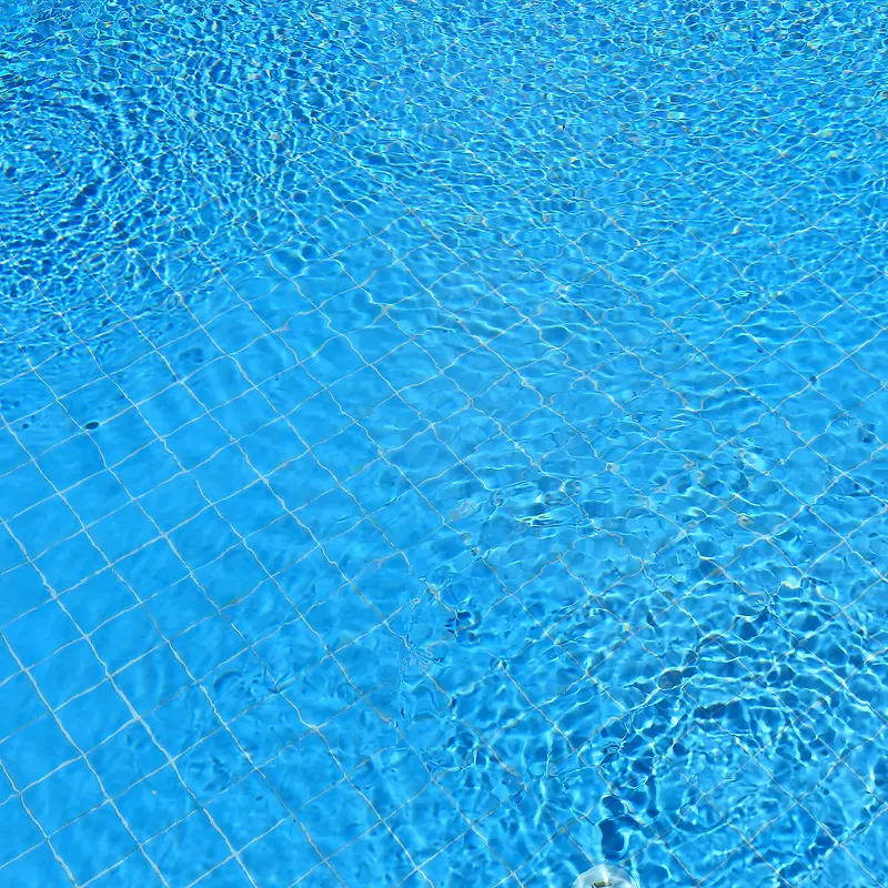 Ӿ�ز��Ʊ���-������