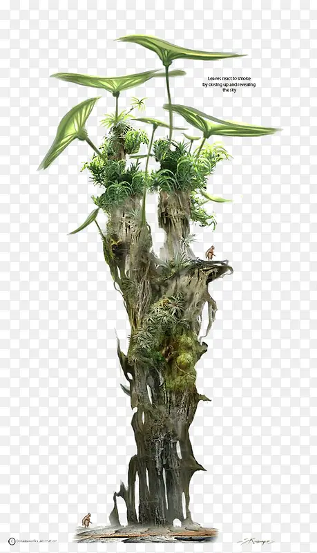 ����ֲ��-������