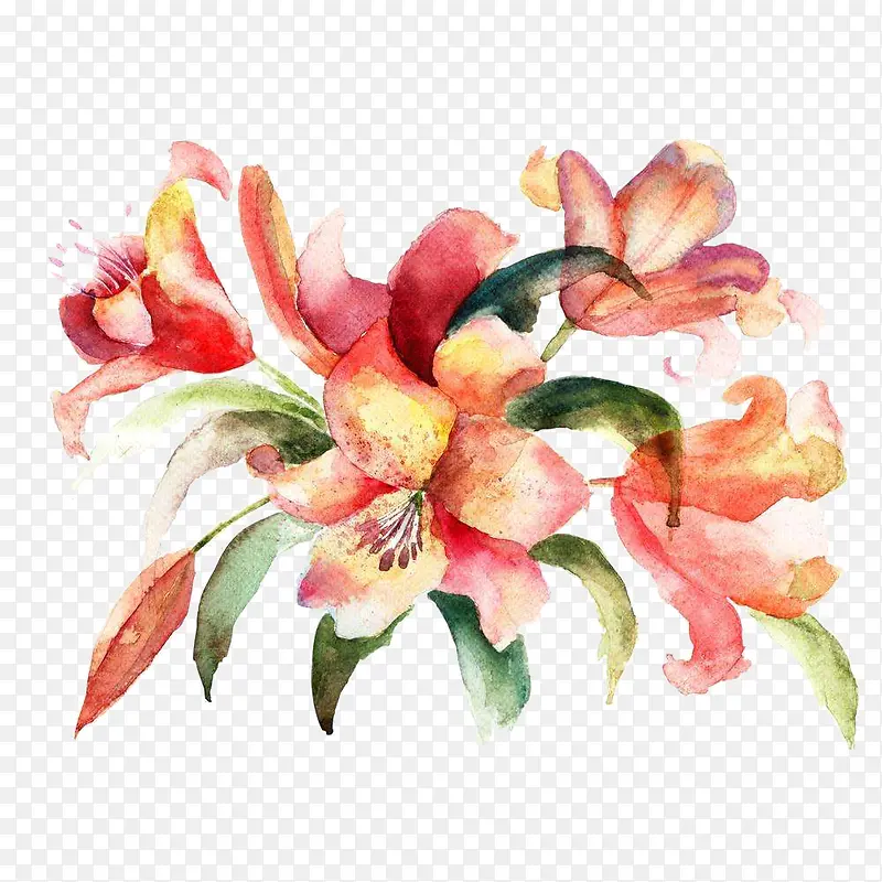 ˮ�ʰٺϻ�-������