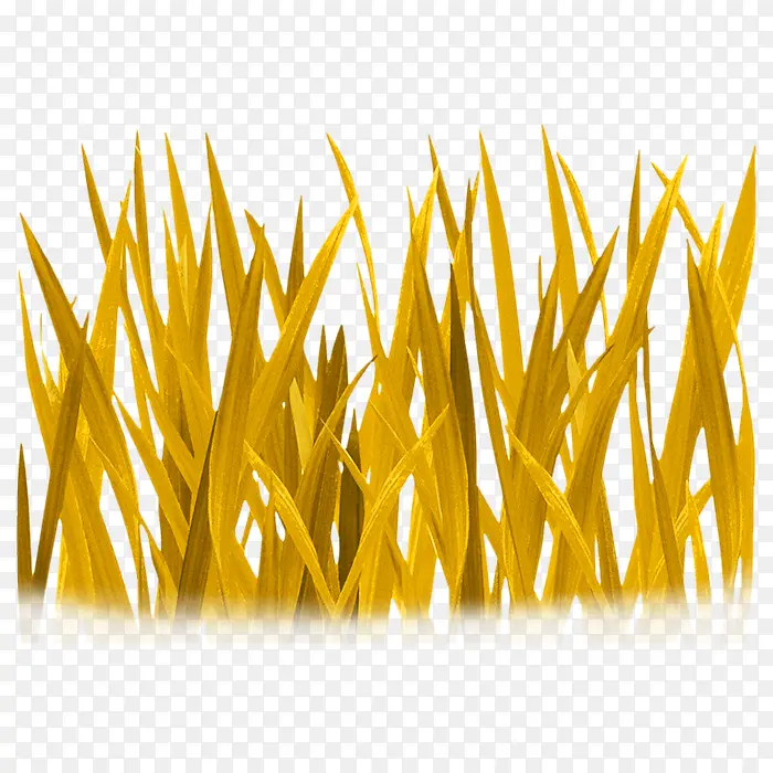 С��ͼƬ-������