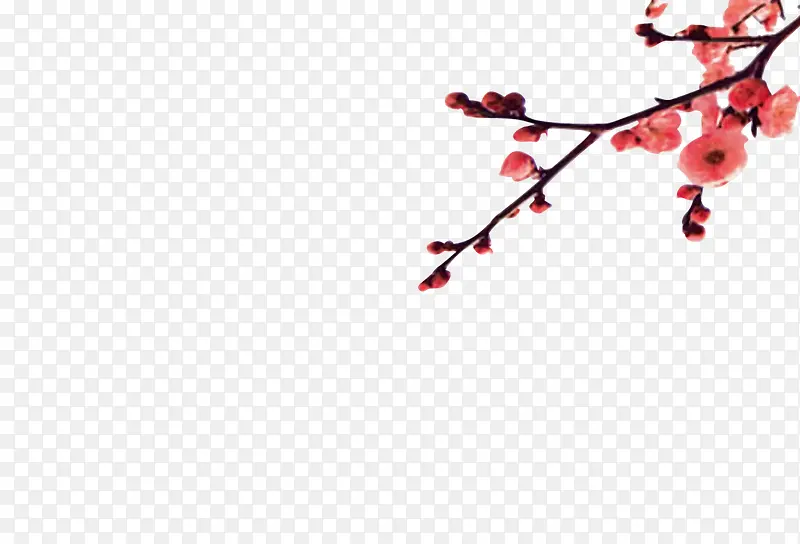 ��ɫ����-������