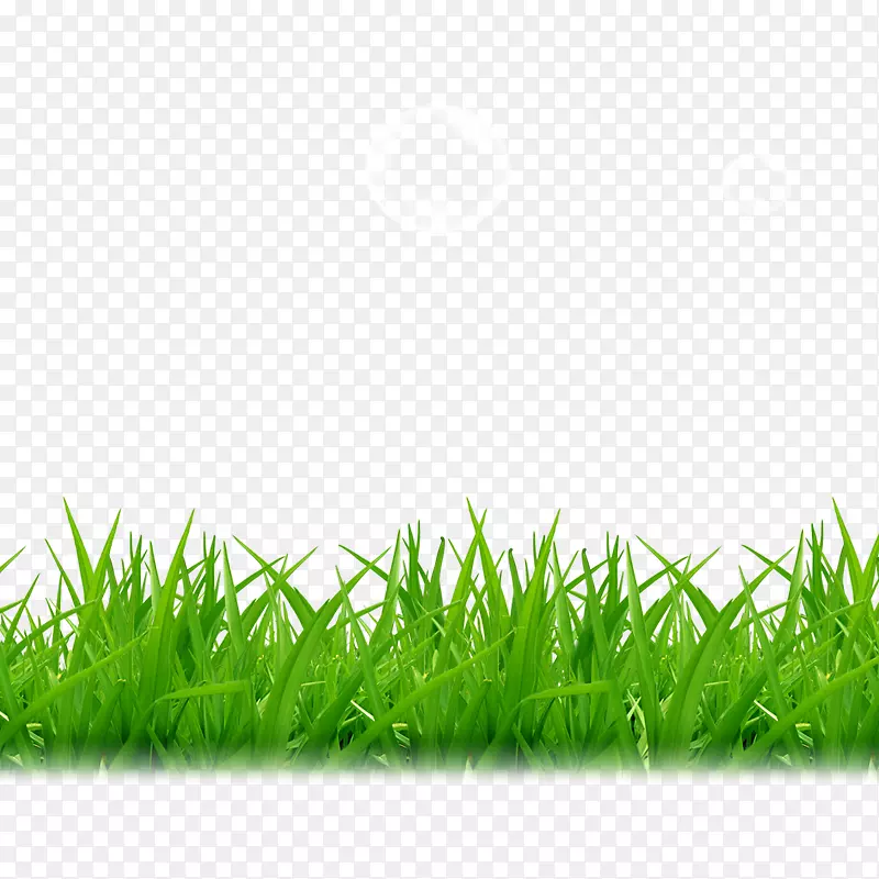 ������-������