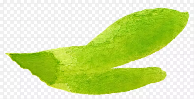 ˮ�ʻ�������.ˮ��ֲ��-������