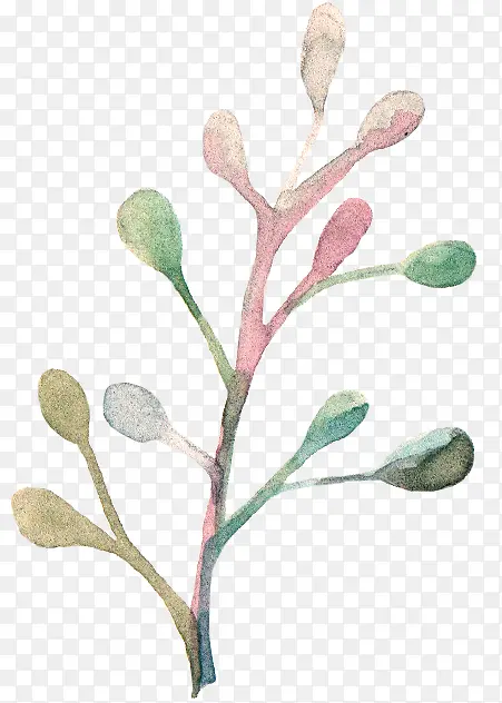 �ֻ�ˮ����֦-������